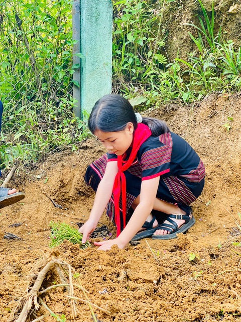 Nội dung chuyên đề “Ứng dụng AI trong dự báo sinh trưởng và sâu bệnh cây dược liệu gắn với mô hình giáo dục trải nghiệm tại Trường PTDTBT TH&THCS Trà Nam, xã Trà Linh”